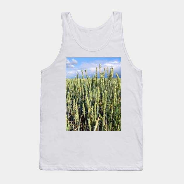 wheat Tank Top by Gourmetkater